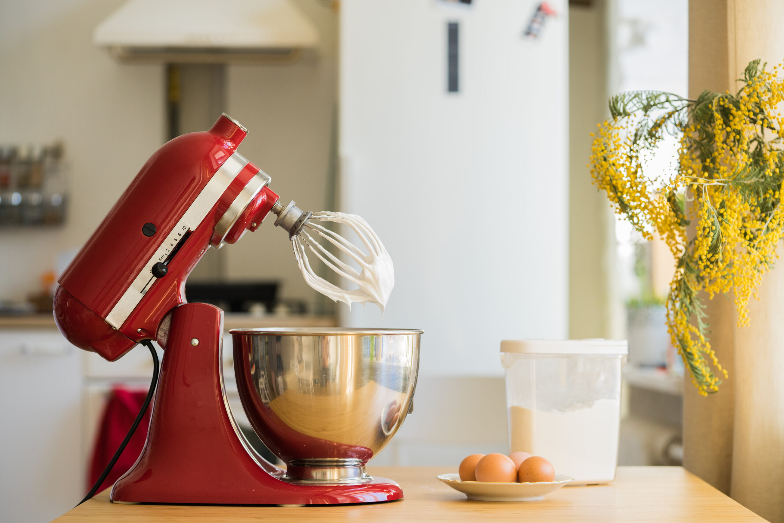 The Connoisseur’s Kitchen: Elevating Spaces Through Exceptional Appliances